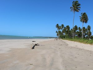Turista encontra ossada humana em praia de Maragogi