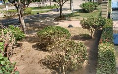 Prefeitura faz limpeza de parques e poda de árvores em Arapiraca