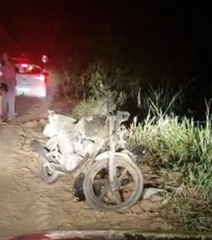 Colisão entre motocicleta e animal deixa uma pessoa ferida na AL-101, em Maragogi