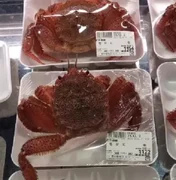 Caranguejo é embalado vivo e tenta fugir de peixaria no Japão