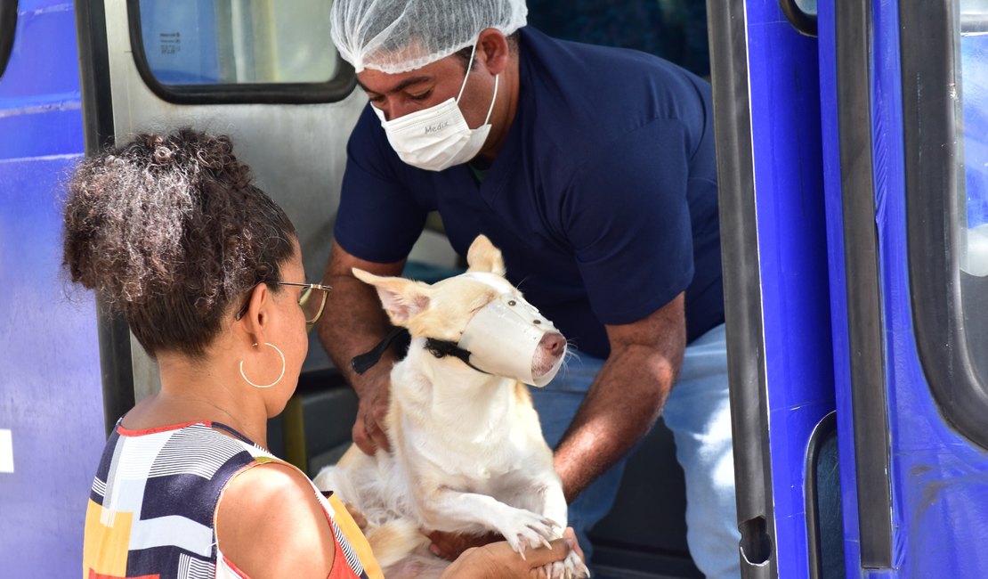 CastraPet abre novo cadastro para esterilização de cães e gatos em Penedo