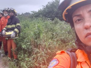 Árvore cai e deixa uma pessoa morta na cidade Rio Largo 