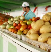 Feriado de Finados altera funcionamento das feiras livres em Arapiraca