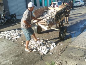 Em uma carroça de burro, morador tapa buracos por conta própria em Arapiraca
