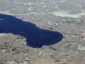 Surgem novas manchas de óleo no litoral sul do Rio Grande Norte