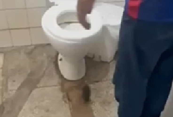 Rato é encontrado 'passeando' dentro de unidade de saúde em Olho D'Água das Flores