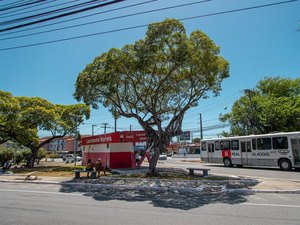 Praça Aloísio Branco recebe limpeza e revitalização artística