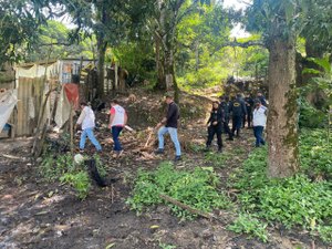 Vigilância Sanitária participa de operação de combate à criação clandestina de suínos