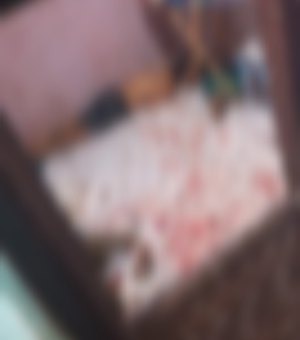 Homem mata vizinho a facadas, confessa o crime e é preso em Maceió