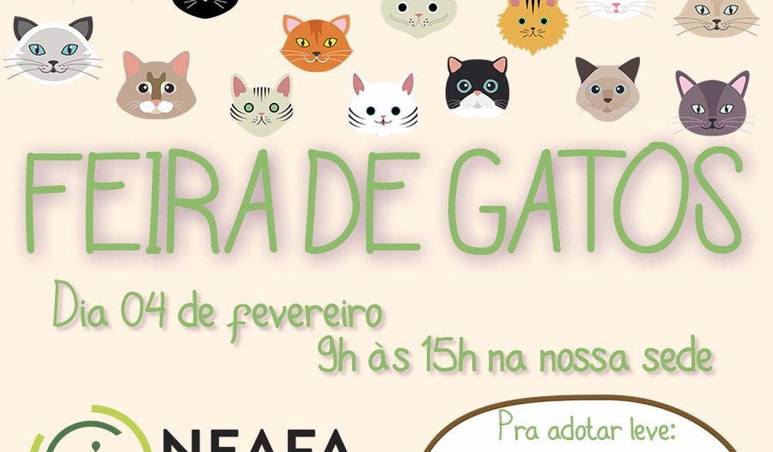 Doação: Neafa realiza primeira feira de adoção só para gatos em fevereiro