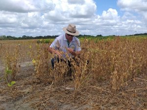 Produtores apostam na excelente fertilidade da soja para a safra 2019/2020