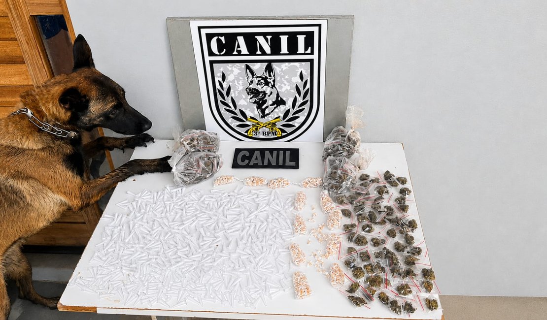 Drogas são encontradas em área de mata durante treinamento da PM em Arapiraca