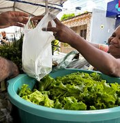 Agricultura familiar mostra sua força no encerramento do Circuito Regional de Feiras