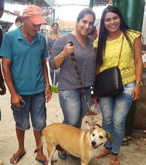 Cadela reencontra lar em Arapiraca depois de ser salva por voluntários