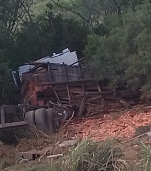 Motorista salta de caminhão desgovernado na Serra das Espias em Palmeira dos Índios