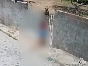 Cadela é resgatada com pata fraturada após caso de maus-tratos em Maceió