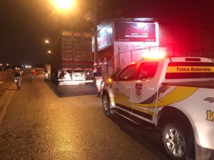 Caminhão com mais de 1,7 mil frangos vivos é apreendido em Maceió