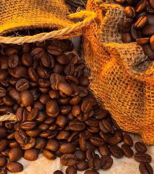 El Niño ameaça produção e pode elevar preços dos alimentos no Brasil