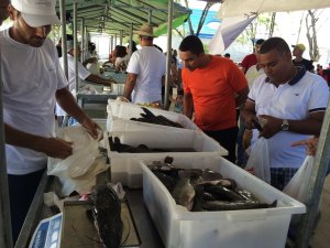 Feira do Peixe Vivo resulta em parcerias e negócios