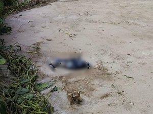 Polícia Científica atua para identificar ossada encontrada em praia de São Miguel dos Milagres