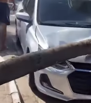 [Vídeo] Coqueiro despenca em carro estacionado na praia de Ponta Verde em Maceió