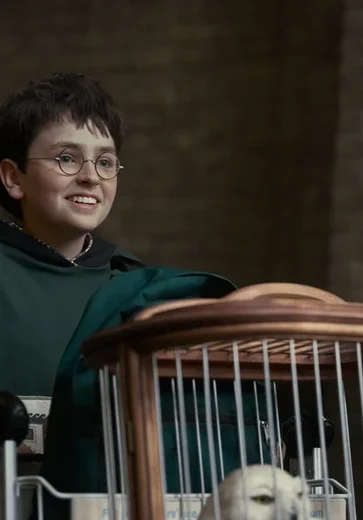 Série de Harry Potter tem diretor de fotografia brasileiro; conheça