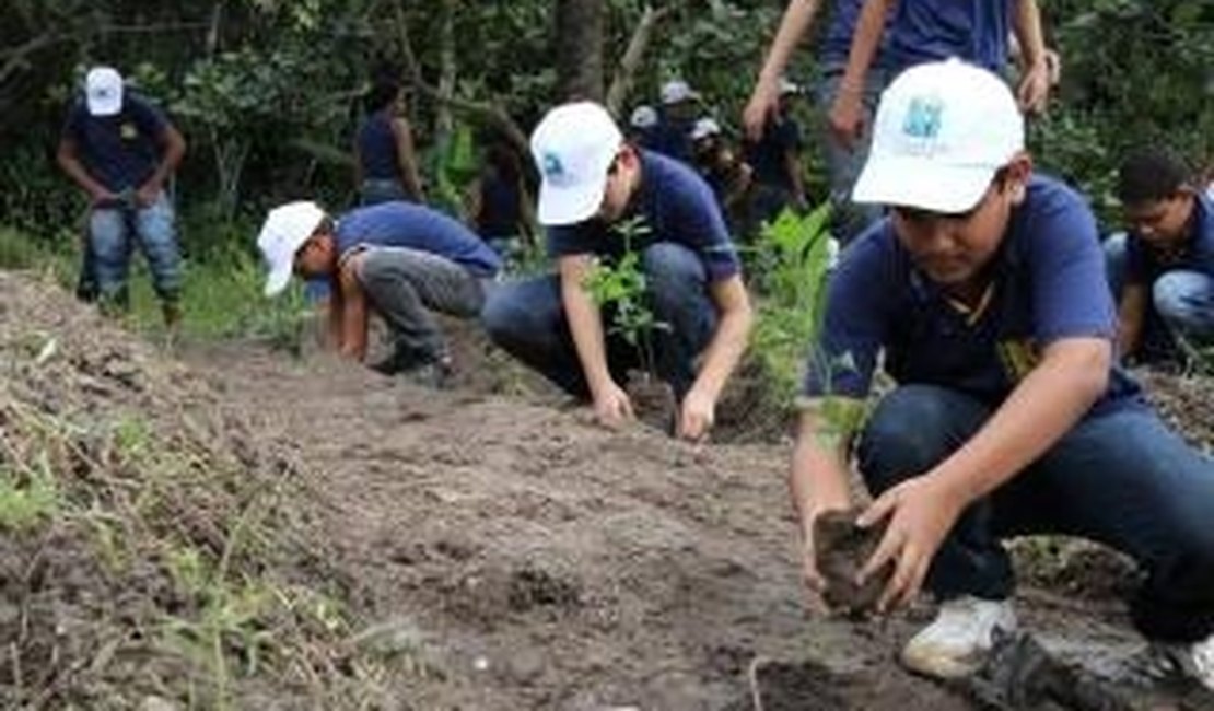 Polícia Federal e usina revitalizam Mata Atlântica
