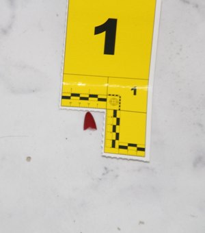 Como o trabalho da Polícia Científica ajudou a desvendar um feminicídio no Trapiche da Barra