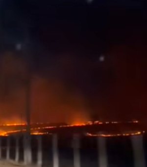 [Vídeo] Incêndio criminoso devasta vegetação entre Lagoa da Canoa e Girau do Ponciano