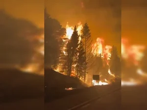 Incêndios florestais destroem 5.500 hectares na Patagônia argentina