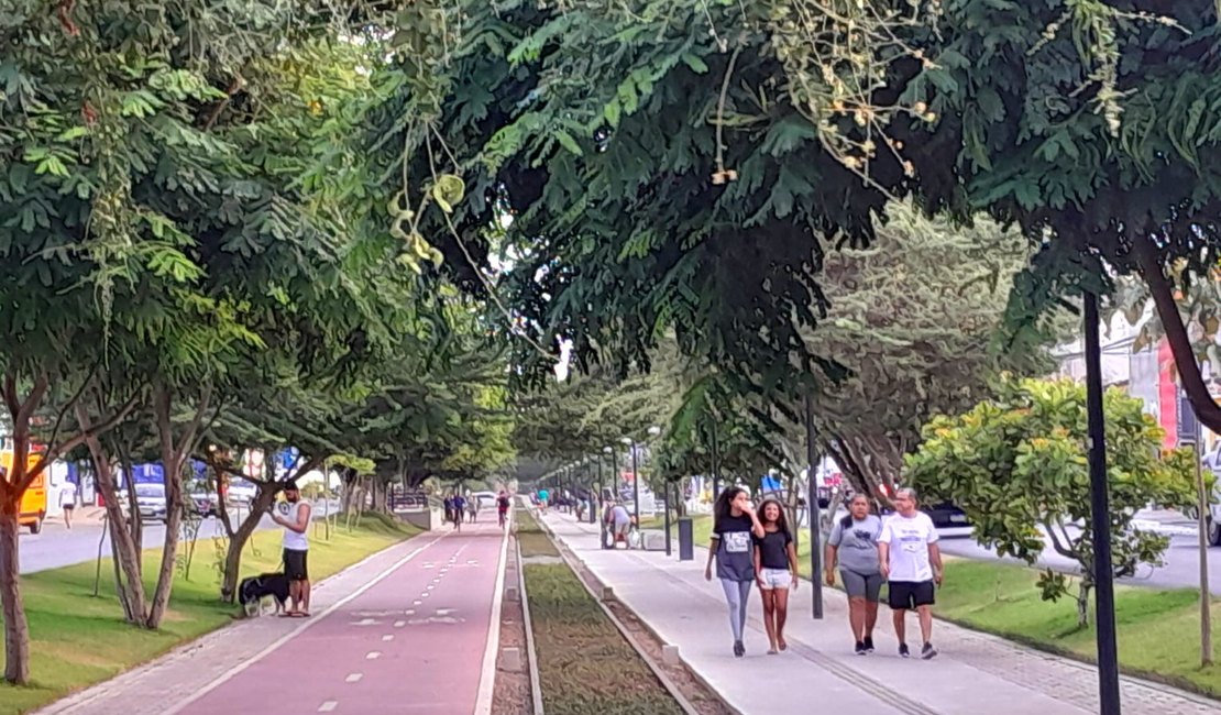 Arapiraca: trabalho de urbanização projetam o município para as futuras gerações