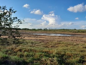 ANA aponta seca mais branda em Alagoas em fevereiro; área atingida pelo fenômeno caiu 10%