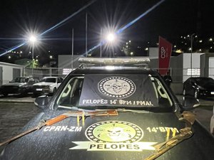 Polícia apreende armas de fogo na zona rural de Colônia Leopoldina