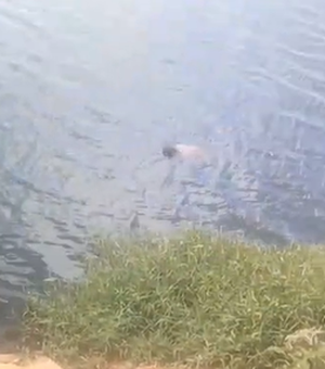 Homem é encontrado morto nas águas do Lago da Perucaba, em Arapiraca