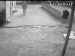 Após divulgar imagens, polícia prende suspeito e esclarece homicídio em lava-jato