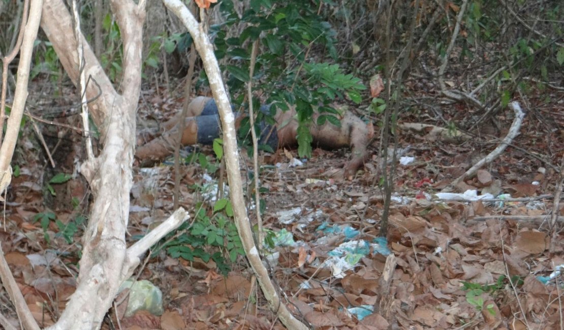 [Vídeo] Corpo de homem é encontrado sem a cabeça em matagal no Benedito Bentes