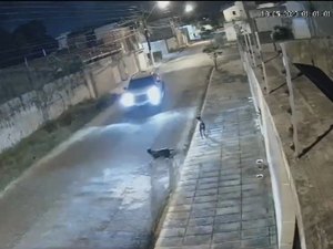 [Vídeo] Homem é condenado por perseguir e atropelar cachorro em Maceió