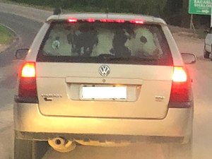 Vaca é flagrada sendo transportada dentro de carro