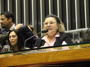 ‘Privilégios permanecem’, diz única tucana que votou contra reforma