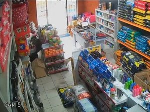 VÍDEO: Pet shop é 'furtado' pela segunda vez por cachorro à procura de petiscos