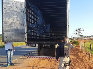 PRF recupera veículo roubado na zona rural de Maribondo/AL