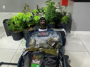 PM desarticula laboratório de drogas e localiza plantio de maconha na Barra Nova