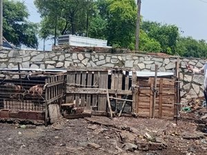 Vigilância Sanitária notifica pocilgas clandestinas no bairro da Levada