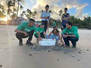 Primeira soltura de tartarugas marinhas da temporada acontece em Maceió