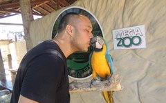 Uily Oliveira faz carinho com uma ave do zoológico