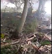 Incêndio em vegetação chega perto de residências em Japaratinga