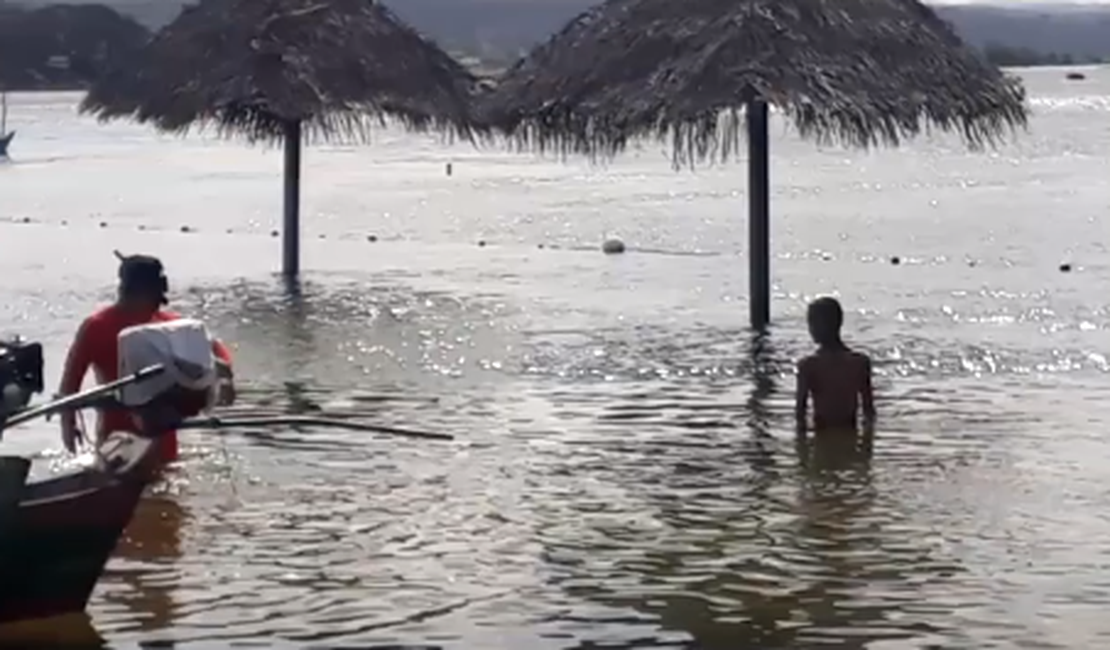 [Vídeo] Vendedor ambulante de Arapiraca desaparece no Rio São Francisco