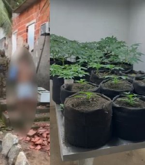 Polícia estoura laboratório usado para cultivo e refinamento de maconha em Maceió