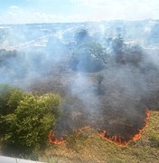 Incêndio de grandes proporções atinge vegetação na Avenida Menino Marcelo