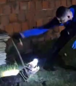 [Vídeo] Jacaré de quase dois metros que invadiu residência é regatado em Marechal Deodoro